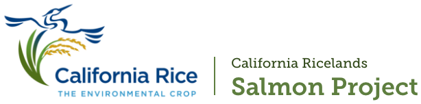CRC ricelands salmon logo