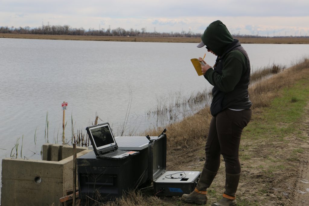 Data on PIT-tagged fish exiting the field being downloaded.