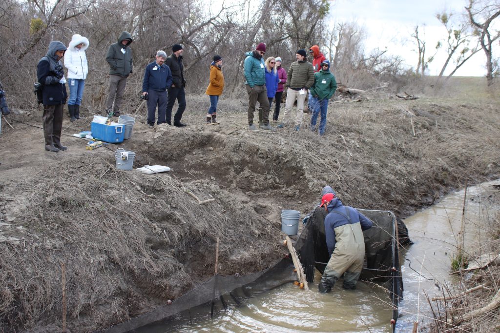 Large group of agency staff and other visitors observe the fyke net operations on Field Day.