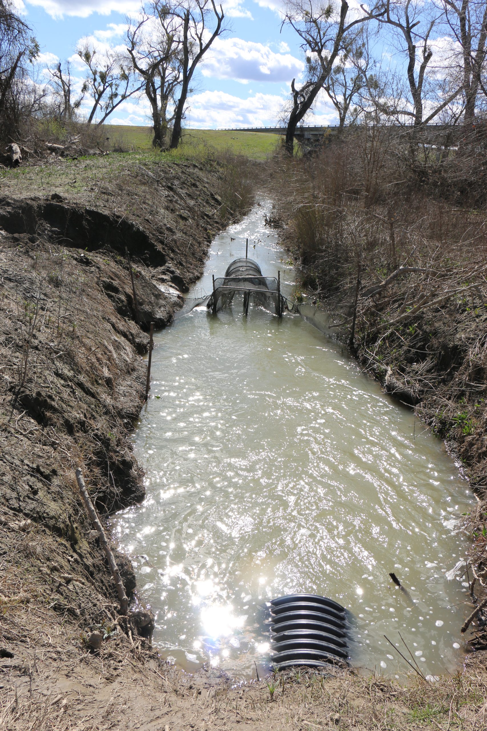 Photo of the drainage canal and fyke next operating at maximum outflow from the field