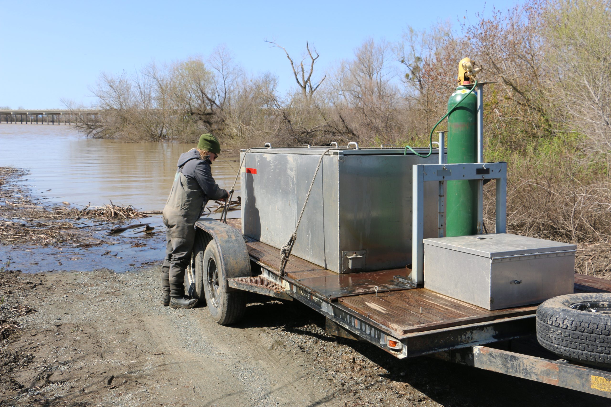 team unloading salmon release equipment from truck trailer at the river